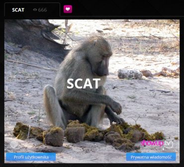 SCAT na ShowUp.tv – podejście statystyczno - naukowe